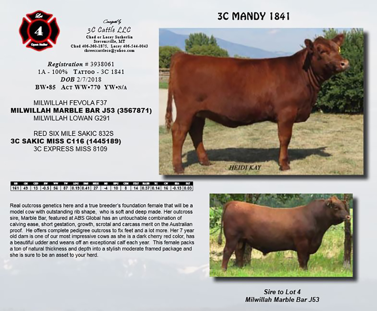 2018 NILE Selection 3C Mandy 1841