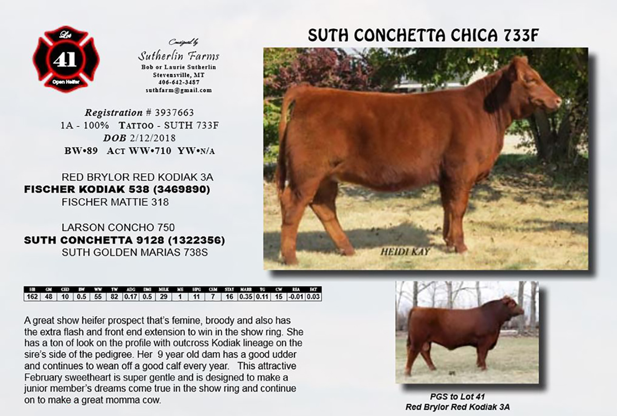 2018 NILE Selection Suth Conchetta Chica 733F