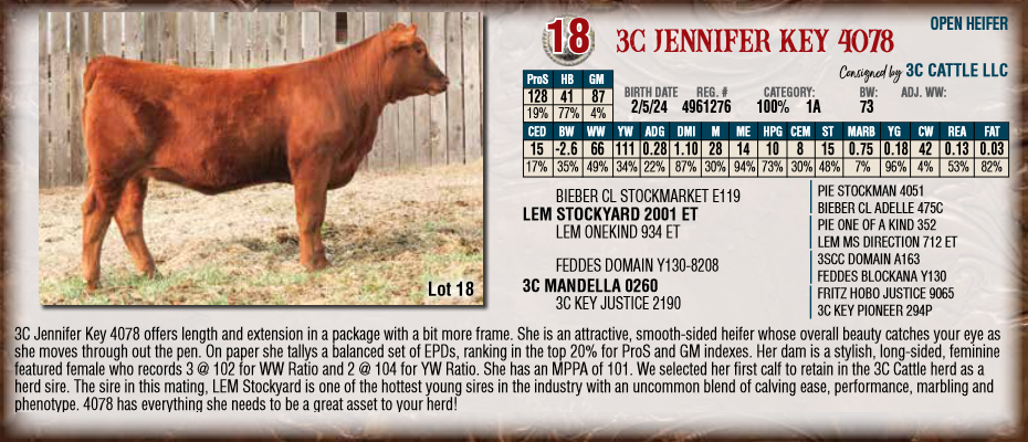 3c Jennifer Key 4078 2024 Nile Open Heifer
