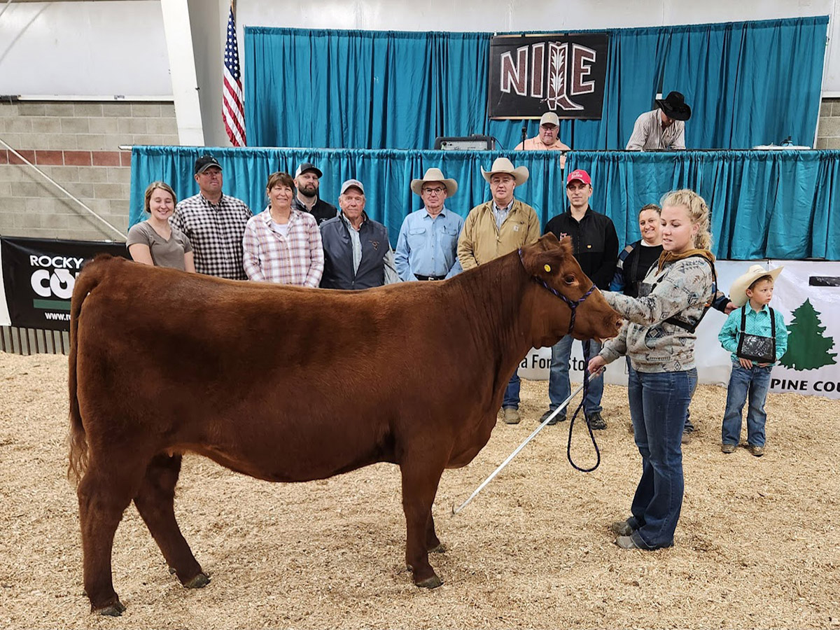 2022 Grand Champion NILE Futurity Heifer | SUTH Button 21043